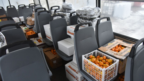 Правительство региона направило в подарок воронежским участникам СВО автобус с мандаринами