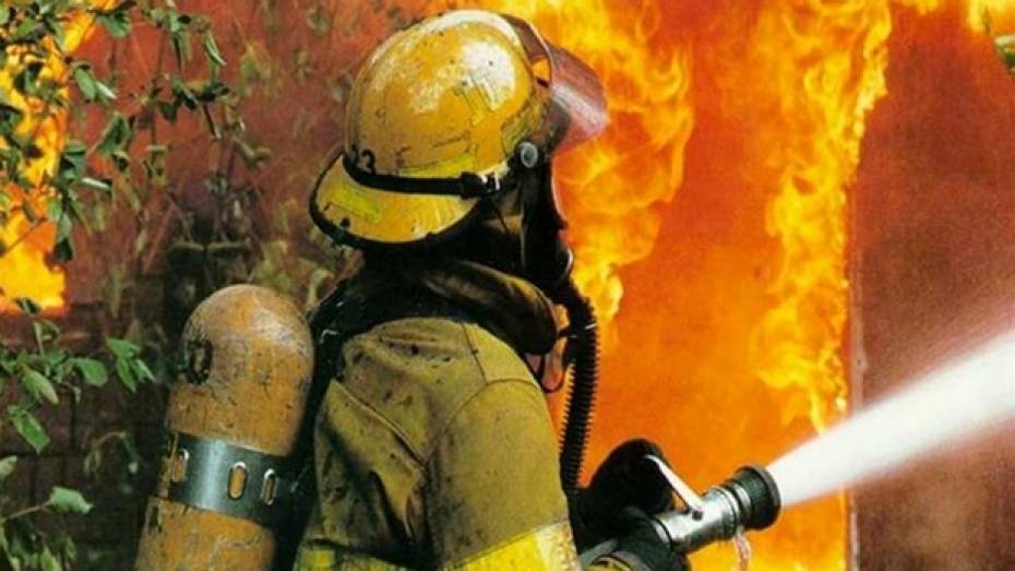 В ночном пожаре в Воронежской области погибли мать с сыном