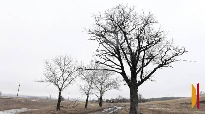 В Воронежской области 10 апреля похолодает до -2 градусов и пойдет снег