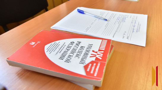 Год условно получила жительница Воронежской области за пощечину полицейскому