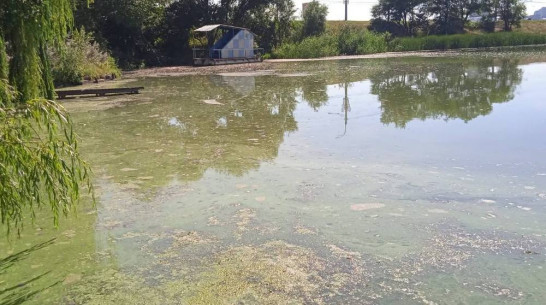 Содержимое канализации попало в Воронежское водохранилище из-за аварии на коллекторе