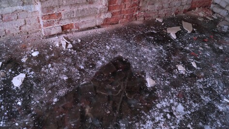 Воронежцам показали дом с ледяным полом глубиной три метра (ФОТО)