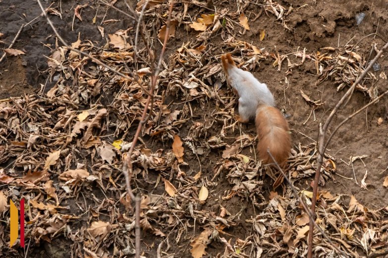 Субботник МВП и РИА осень