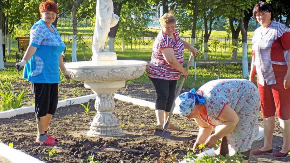 Жительницы бутурлиновского села высадили в парке выращенную дома цветочную рассаду