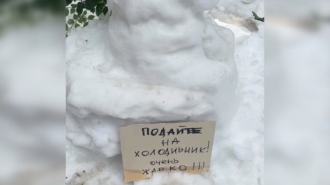 «Подайте на холодильник!»: в Воронеже заметили снеговиков во время жары