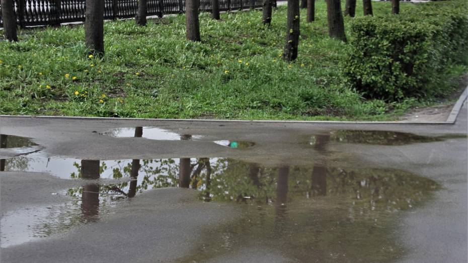 Повсеместные дожди и грозы ожидаются в Воронежской области перед выходными