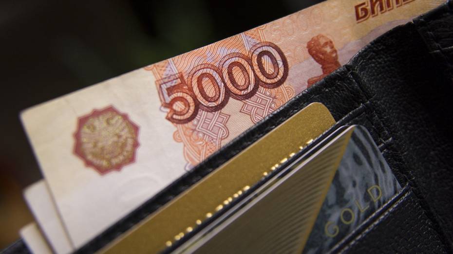Средняя зарплата в Воронежской области за год выросла почти на 10%