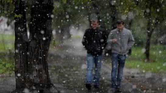 Спасатели предупредили воронежцев об октябрьском снегопаде