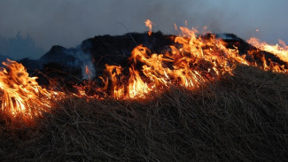В Воронежской области начался сезон ландшафтных пожаров