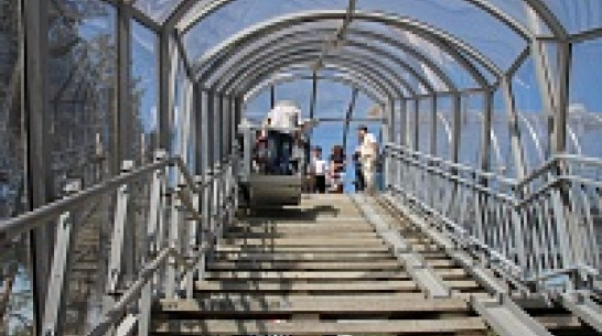 В Воронежской области открылись два надземных перехода