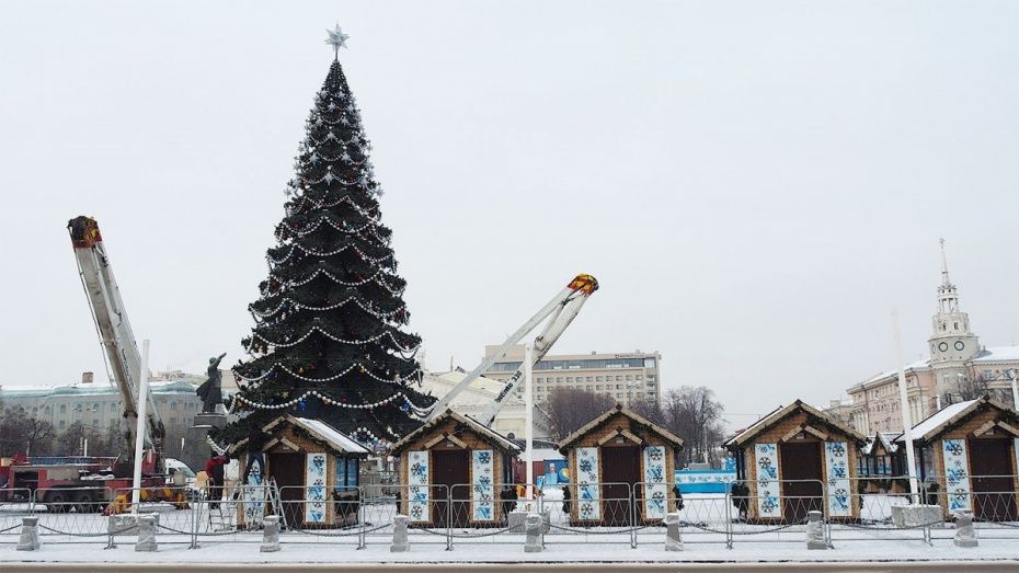 Мэрия Воронежа сэкономила на установке новогодней елки 688 тыс рублей