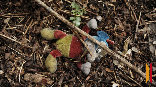 В Воронежской области мать осудили за избиение сыновей кнутом и металлической трубой