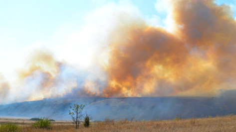 На ликвидацию лесного пожара в Бутурлиновке бросились все пожарные района