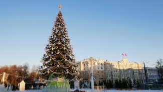 Воронежцы назвали ель на площади Ленина одной из самых красивых в стране