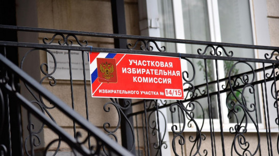 Избирательные участки в Воронеже возьмут под круглосуточную охрану