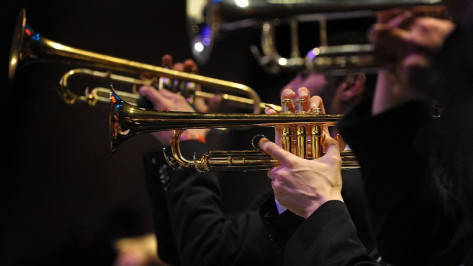 Луганский симфонический оркестр даст концерт в Воронеже