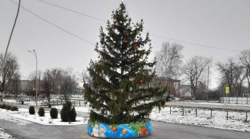 В грибановском селе Нижний Карачан установили 7-метровую новогоднюю ель