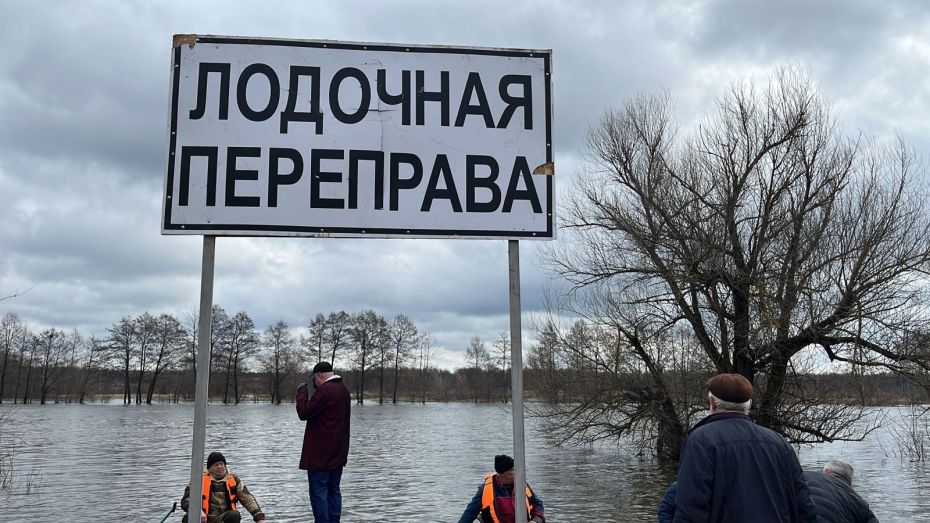 Лодочную переправу организовали из-за подъема воды в реке Воронеж