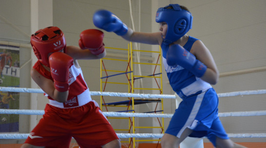 Областной турнир по боксу пройдет в Каширском районе с 6 по 8 мая