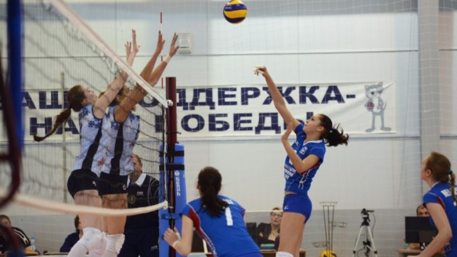 В Боброве пройдет любительская волейбольная лига