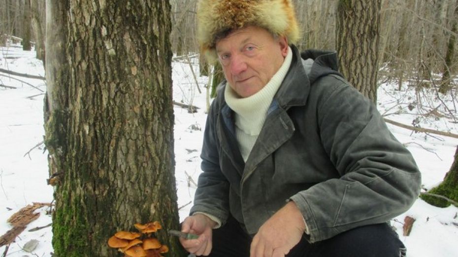 Грибановцы ходят за грибами в январе