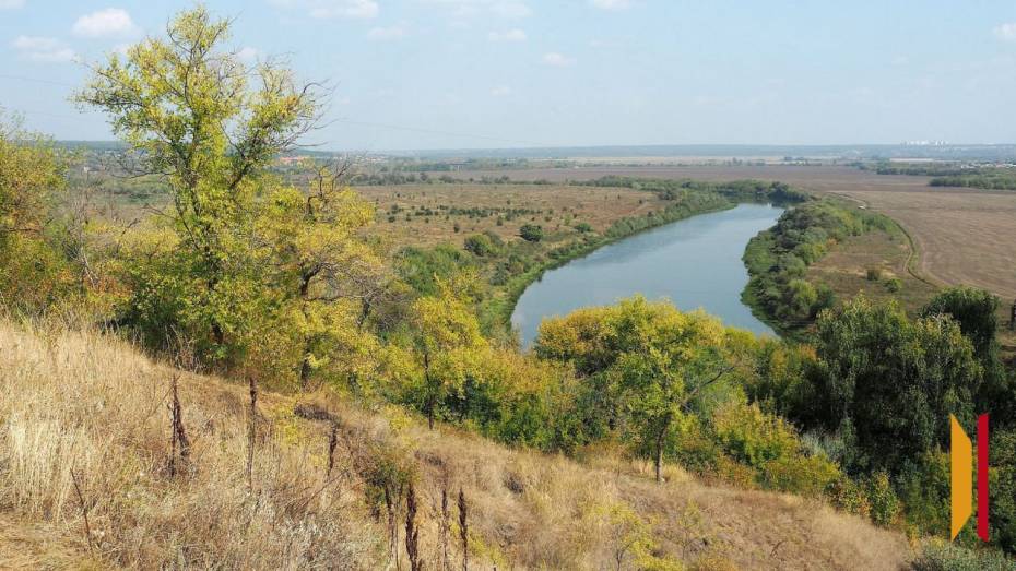 В Воронежской области на Дону обнаружили опасный земснаряд
