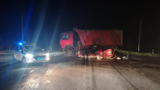 В Воронежской области в ДТП с грузовиком пострадал 6-летний ребенок