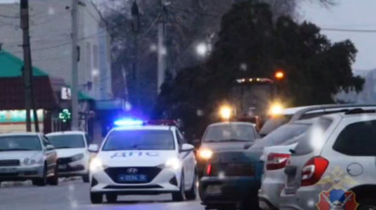 Воронежские госавтоинспекторы помогли доставить новогоднюю ель с Марса в поселок Подгоренский