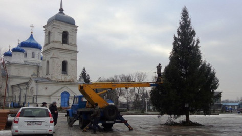 Житель села Репьевка подарил односельчанам 12- метровую ель