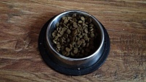 В магазинах Воронежа и Россоши продавали «неизвестные» корма и добавки для животных