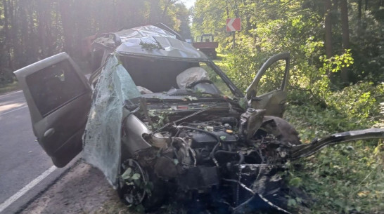 В Воронежской области «Лада» вылетела с дороги: погибли 2 человека