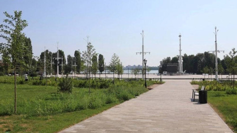 «Детский день с бременскими музыкантами» пройдет на Адмиралтейской площади в Воронеже 1 июня