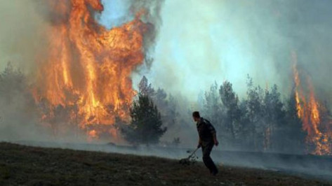 В Воронежской области целая деревня едва не сгорела из-за неосторожного обращения с огнем