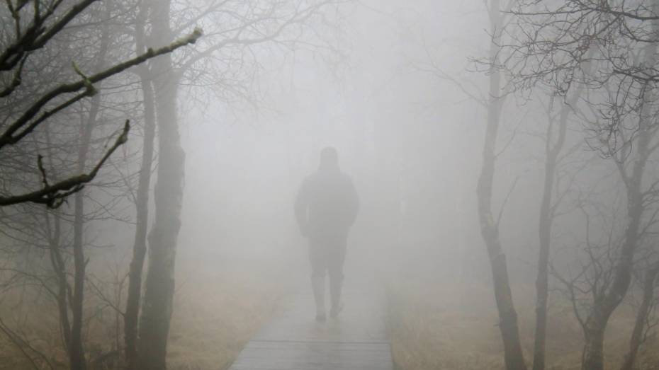 В Воронежской области 8 пропавших без вести нашли мертвыми в августе