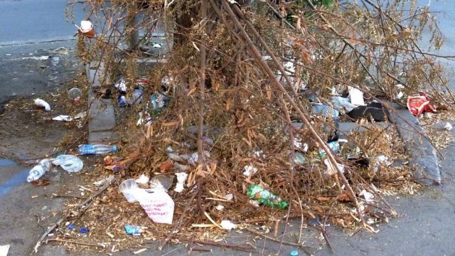 Воронежские студенты очистят от мусора левый берег водохранилища