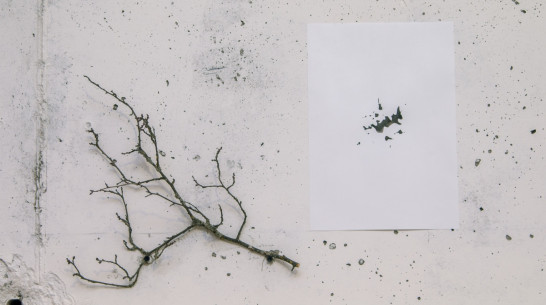 Художник Сергей Ряполов показал воронежцам «Вершки и корешки»