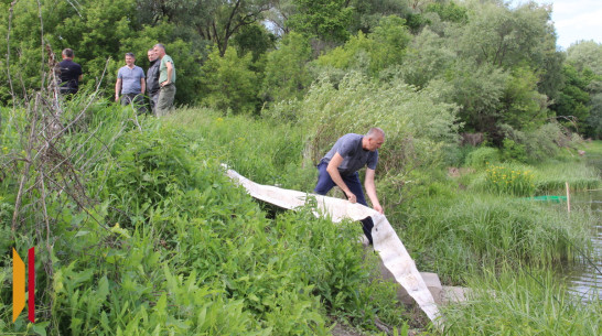 В Подгоренском районе выпустили в Дон 9 тыс мальков стерляди