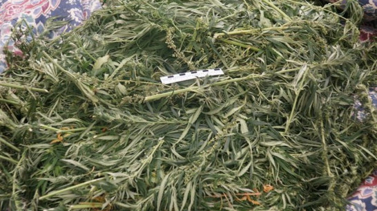Полицейские изъяли у жителя Каширского района 200 граммов марихуаны
