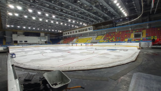 Финская хоккейная коробка появится в воронежском дворце спорта «Юбилейный»