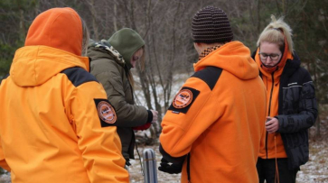 В Воронежской области за неделю живыми нашли 16 пропавших людей