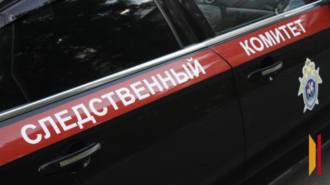 Воронежец взял бомжа в рабство и похитил сожительницу