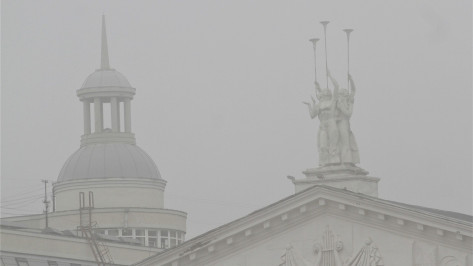 Гололед и туман задержатся в Воронежской области