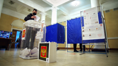 Выборы в Воронежской области признали состоявшимися