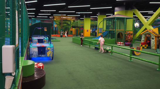 Детские игровые комнаты рекомендовали закрыть в Воронежской области из-за гриппа и ОРВИ