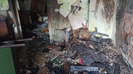 Зарезал хозяина и поджег дом: убийцу задержали в Воронежской области