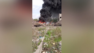 Встревожившего воронежцев поджигателя мусора оштрафовали на 20 тыс рублей