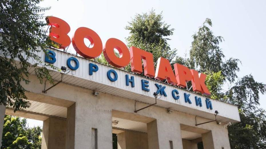 Сквер у Воронежского зоопарка закроют 2 июля 