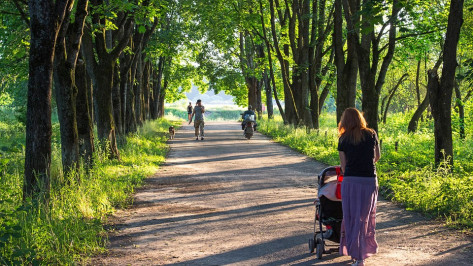 Воронежская область получит 6,7 млн рублей на обустройство парков