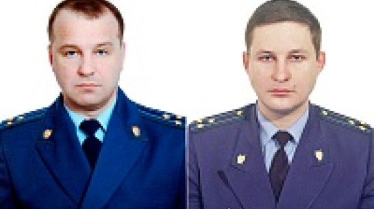 Анна и Грибановка обменялись прокурорами