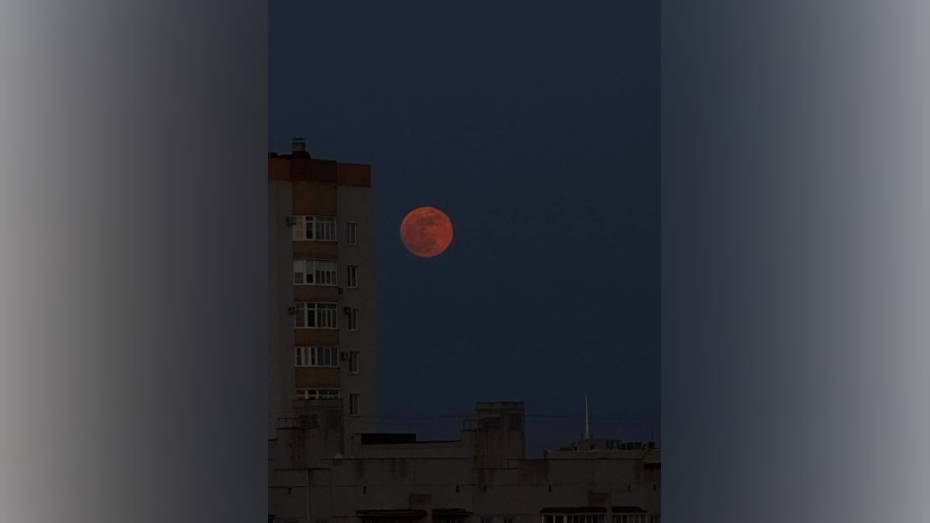 Розовую Луну запечатлели в небе над Воронежем